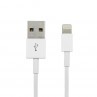 Cable USB Lightning 1